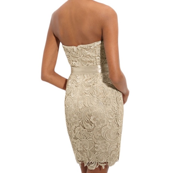 Adrianna Pappel Strapless Lace Knee Length Dress in Color Champagne Size 8P - Picture 3 of 9